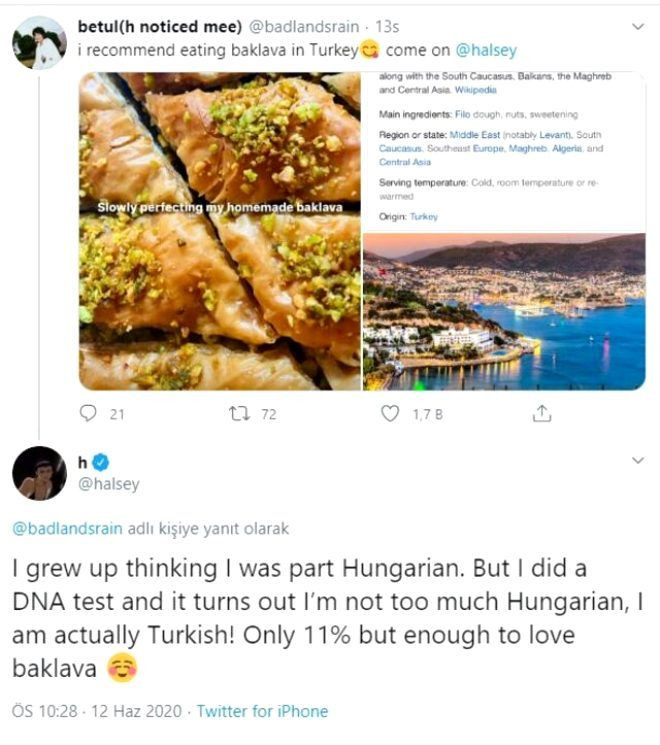 Baklava paylaşımı yapan Amerikalı yıldız şarkıcı Halsey, Türk çıktı - Sayfa 3