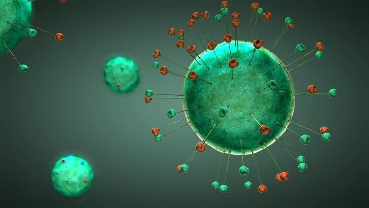CDC resmi duyuruyu yaptı! Koronavirüse 3 yeni belirti eklendi - Sayfa 3