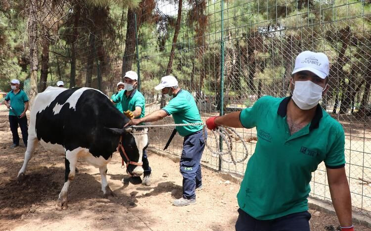 Sağlık Bakanlığı yayınladı! Bayramda bu hataları yapmayın - Sayfa 9