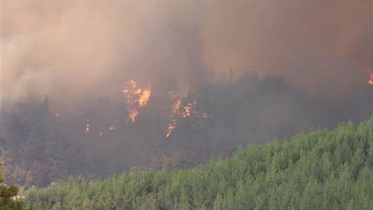 Adana'daki orman yangını! Havadan müdahale tekrar başladı - Sayfa 4