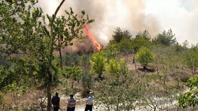 Adana'daki orman yangını! Havadan müdahale tekrar başladı - Sayfa 5