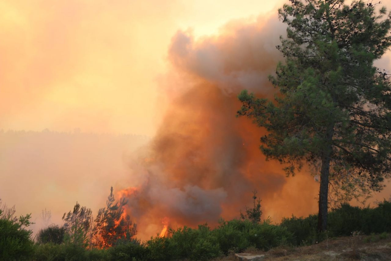 Adana'daki orman yangını! Havadan müdahale tekrar başladı - Sayfa 2