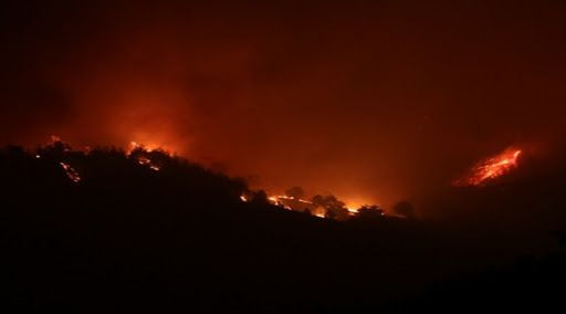 Adana'daki orman yangını! Havadan müdahale tekrar başladı - Sayfa 8