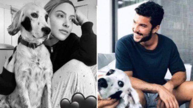 Kaan Yıldırım'dan Hadise'ye romantik kutlama - Sayfa 7