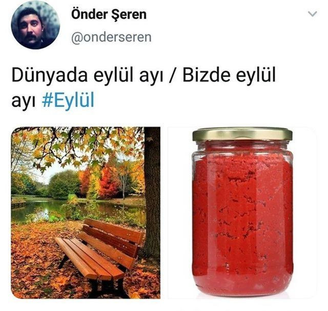 Son zamanlarda paylaşılmış komik ve eğlenceli sosyal medya paylaşımları - Sayfa 12