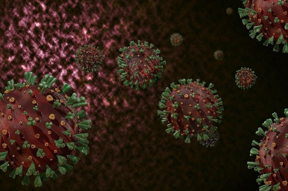 Mutasyonlu virüs aşıya dayanıklı hale gelirse ne olacak? - Sayfa 2