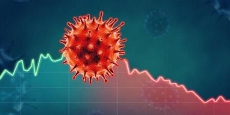 Çin'den korkutan açıklama! 24 yeni tip koronavirüs! - Sayfa 4