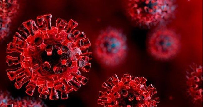Çin'den korkutan açıklama! 24 yeni tip koronavirüs! - Sayfa 1