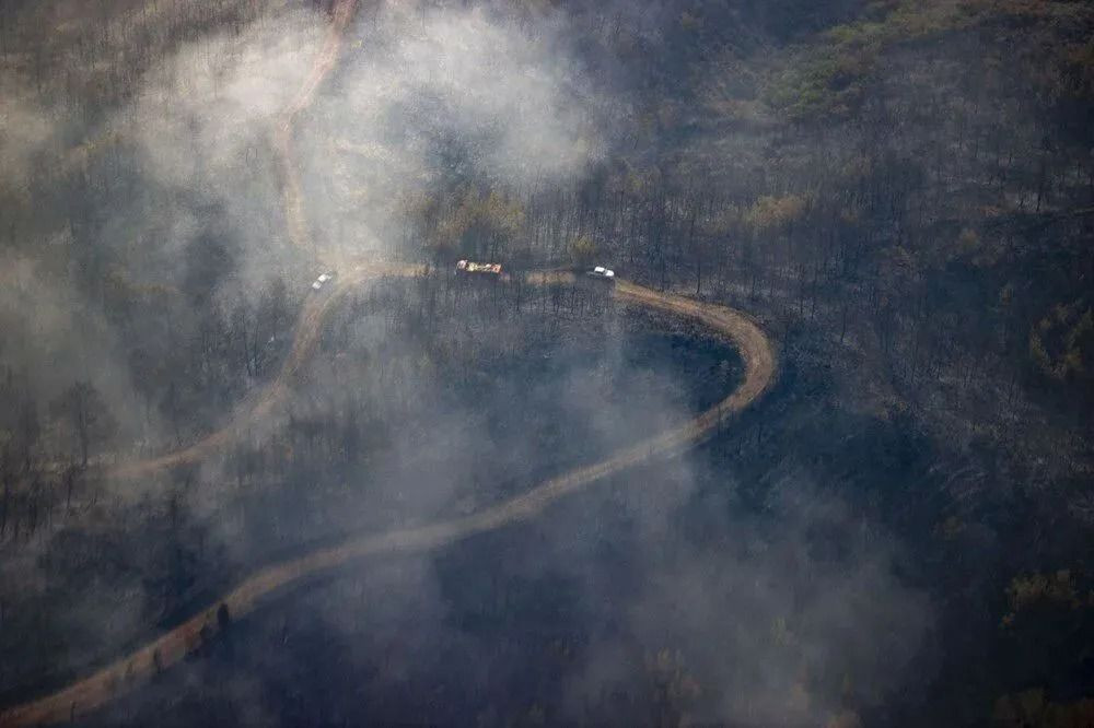 Marmaris'te orman yangını: Rüzgarın etkisiyle yeniden şiddetlendi - Sayfa 2