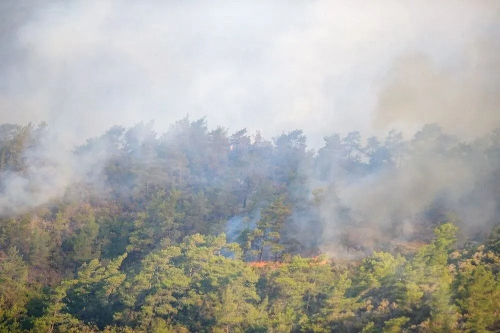 Marmaris'te orman yangını: Rüzgarın etkisiyle yeniden şiddetlendi - Sayfa 4