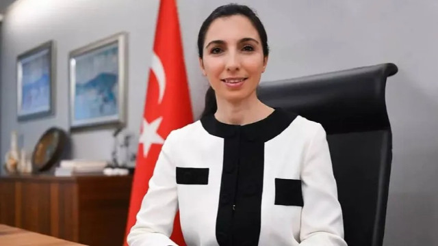 Merkez Bankası Başkanı Erkan’dan OVP değerlendirmesi