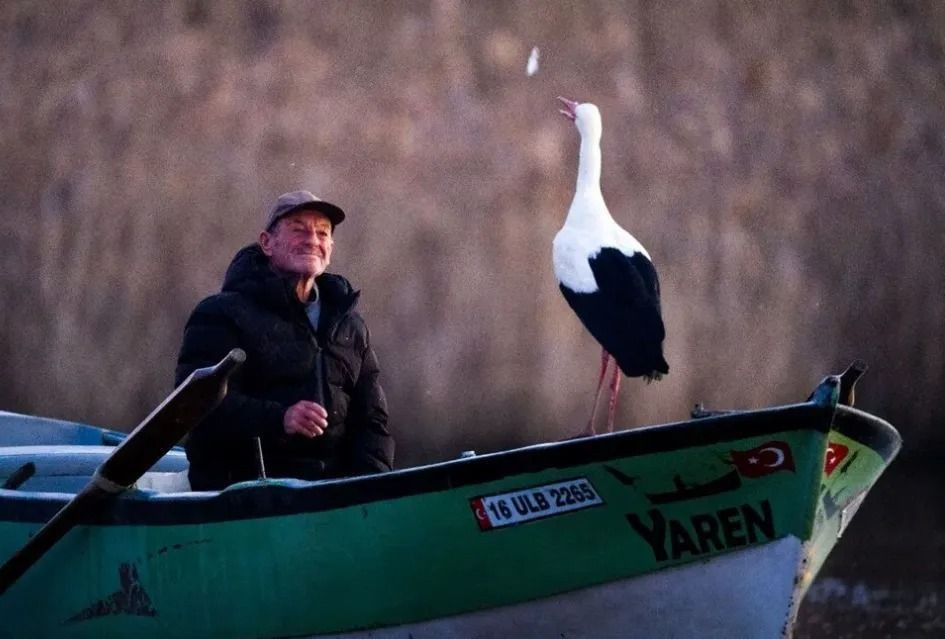 Yaren Leylek'ten beklenen haber geldi! 14'üncü yılda da evinde... - Sayfa 3