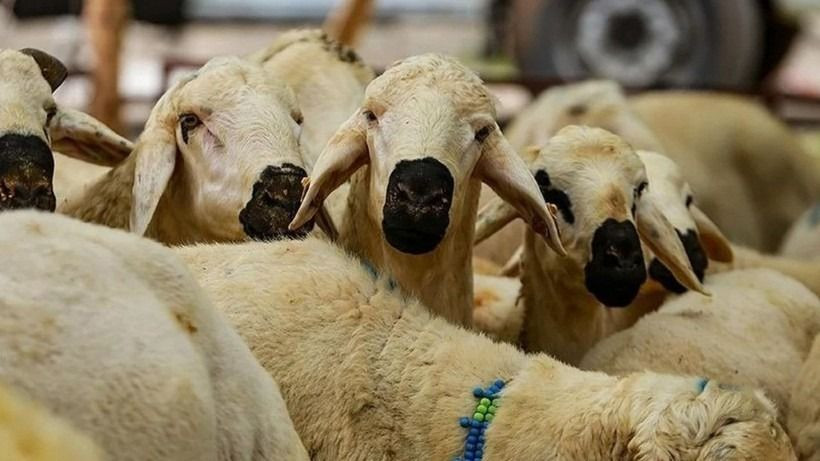 Kurban bayramı tatili uzayacak mı, bayram tatili kaç gün? Beklenen açıklama geldi - Sayfa 6