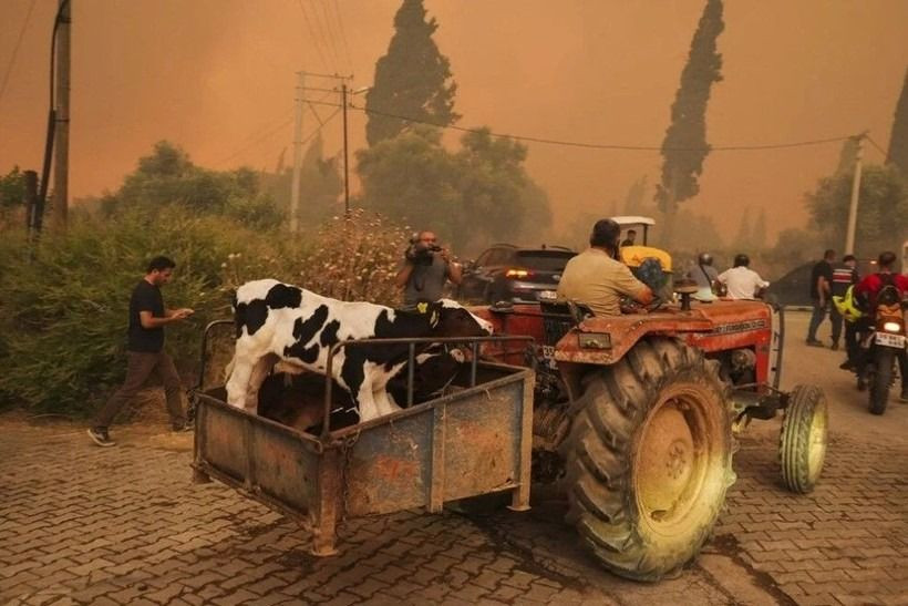 Ödemiş'te kahreden fotoğraflar: Alevlerden böyle kaçtılar - Sayfa 10