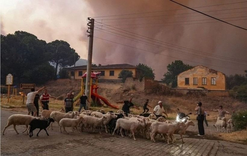 Ödemiş'te kahreden fotoğraflar: Alevlerden böyle kaçtılar - Sayfa 11