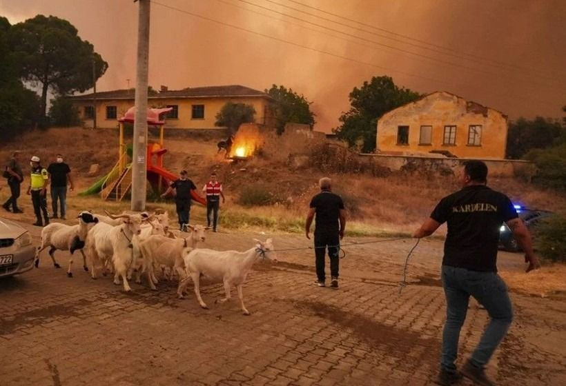 Ödemiş'te kahreden fotoğraflar: Alevlerden böyle kaçtılar - Sayfa 12