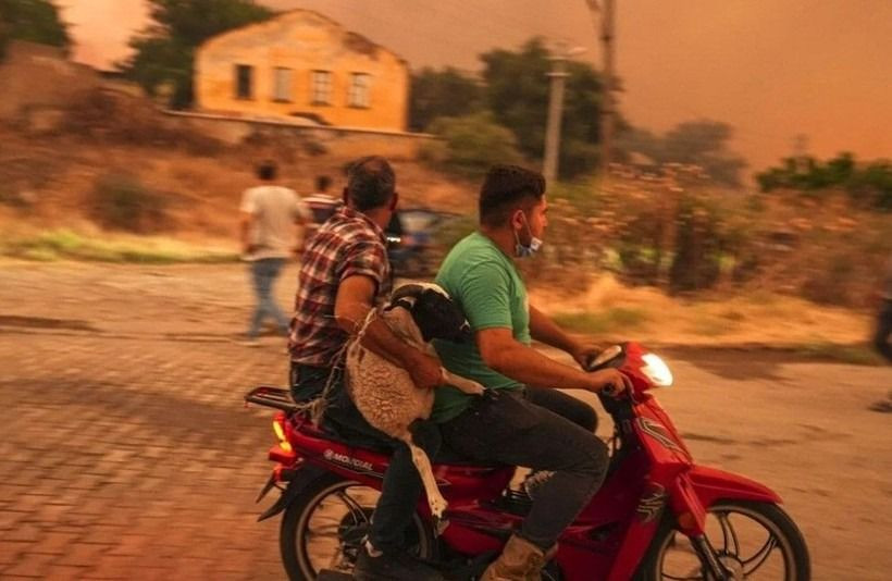 Ödemiş'te kahreden fotoğraflar: Alevlerden böyle kaçtılar - Sayfa 3