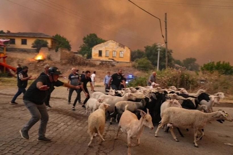 Ödemiş'te kahreden fotoğraflar: Alevlerden böyle kaçtılar - Sayfa 4