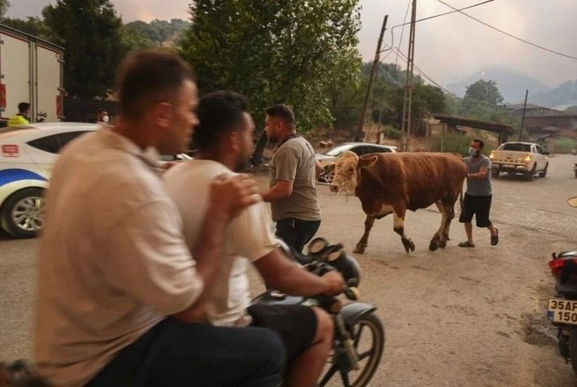 Ödemiş'te kahreden fotoğraflar: Alevlerden böyle kaçtılar - Sayfa 8