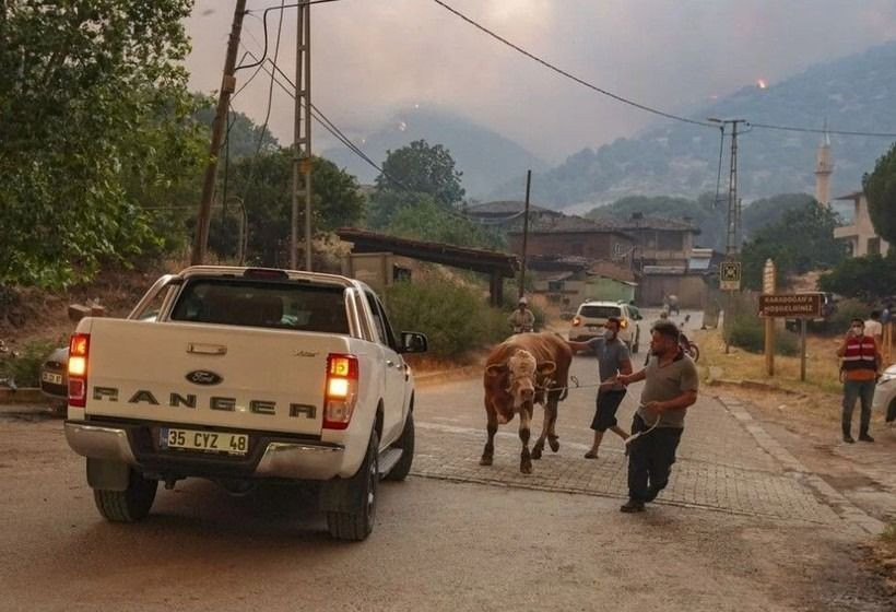 Ödemiş'te kahreden fotoğraflar: Alevlerden böyle kaçtılar - Sayfa 9