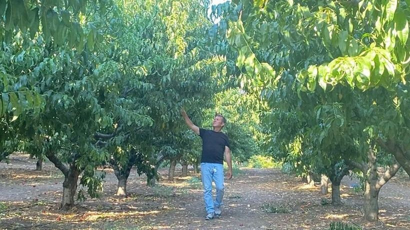 Bursa'da şaşırtan görüntü: Sadece o alan yanmadı - Sayfa 4