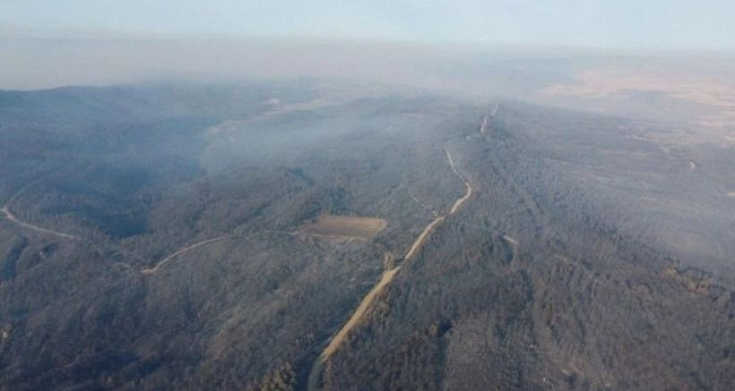 Çanakkale'de yeşil, griye döndü! Gelibolu'da yanan alanlardan can yakan görüntü - Sayfa 5