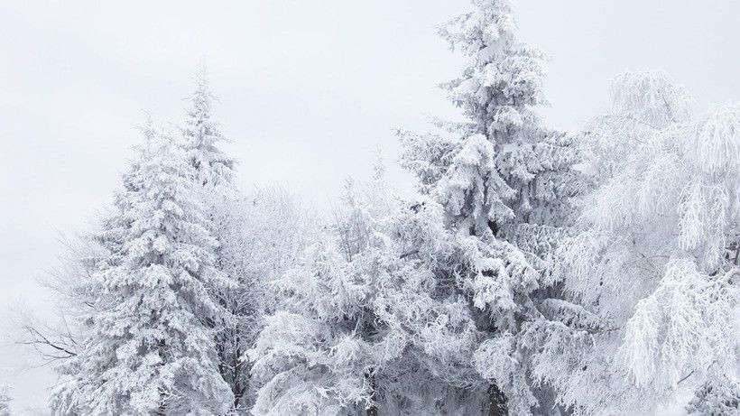 Kar İstanbul'a asıl o tarihte geliyor! Donacağız - Sayfa 8