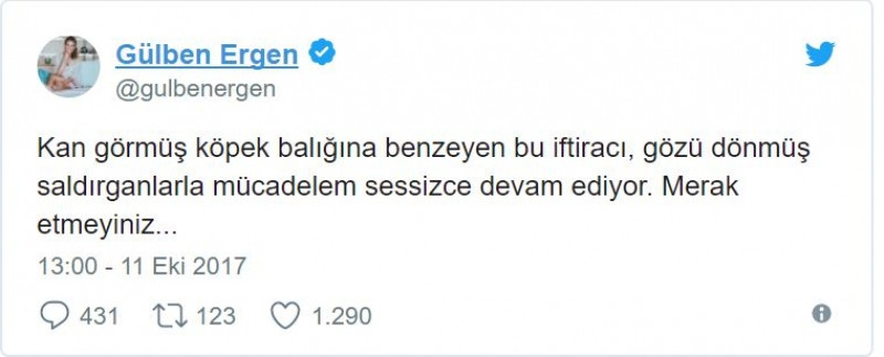 Gülben Ergen, Erhan Çelik'i hedef aldı - Sayfa 5